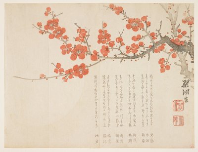 Full Moon and Plum Blossoms by Kink